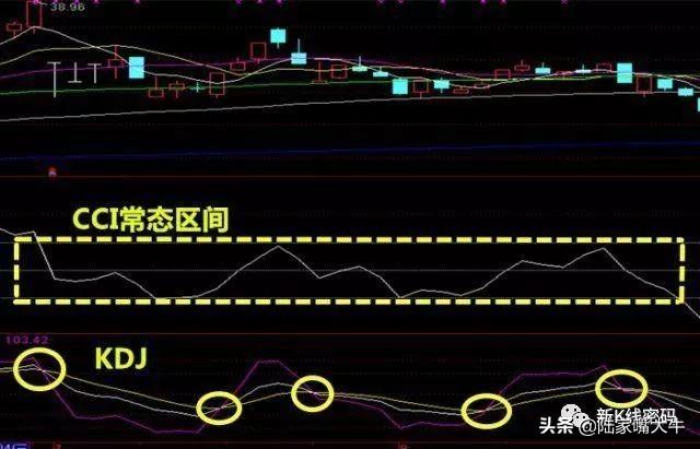 底部区域指标，揭示潜力与机会的线索揭秘