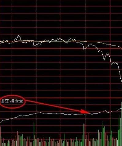 持仓量指标CCL解读及实战应用策略