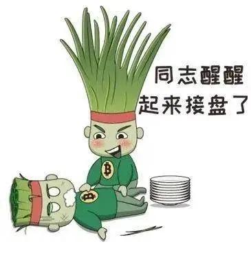 牛市热潮，轮番爆炒的时代来临