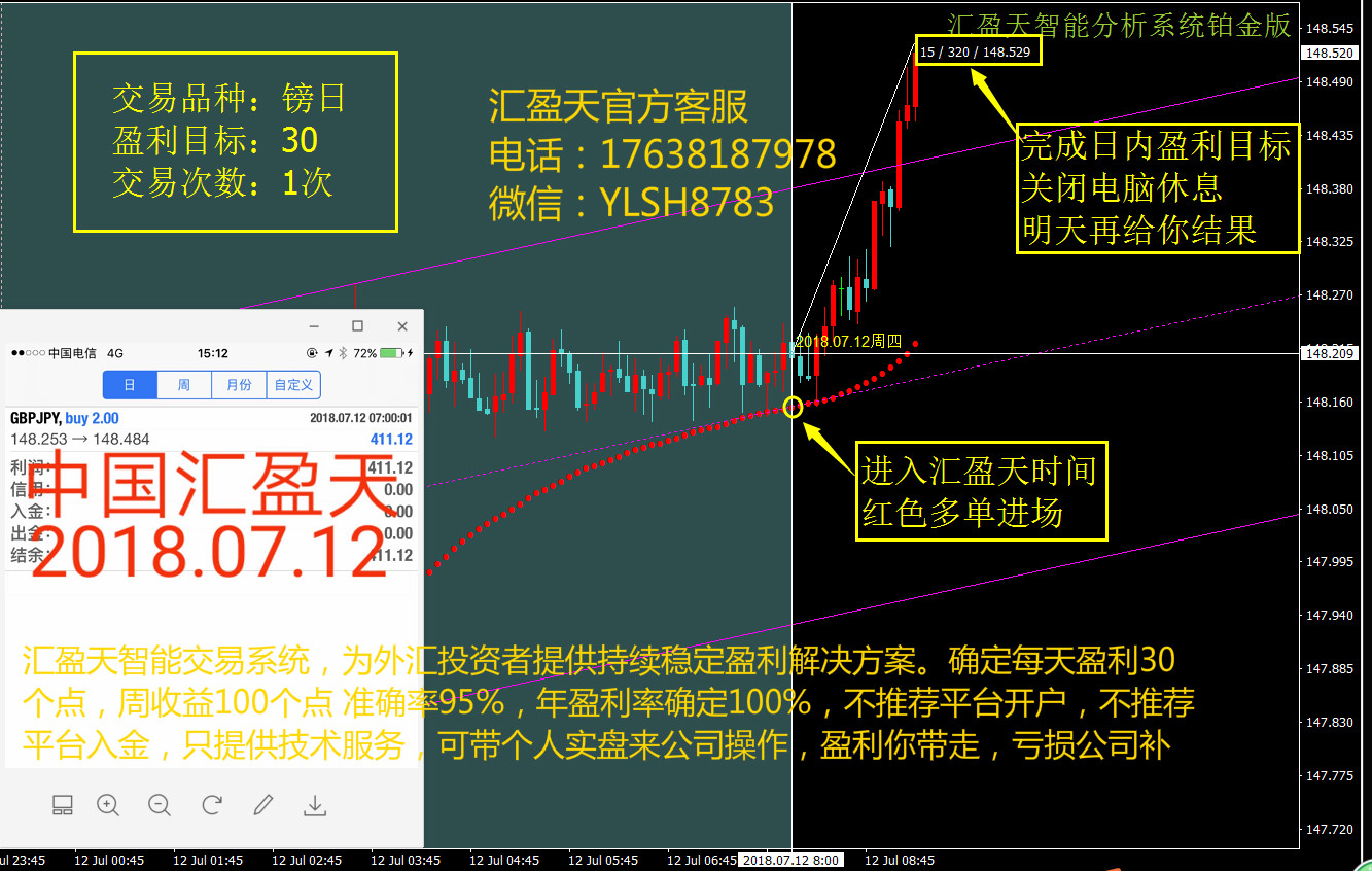 外汇交易稳定盈利技术的探索与实践指南