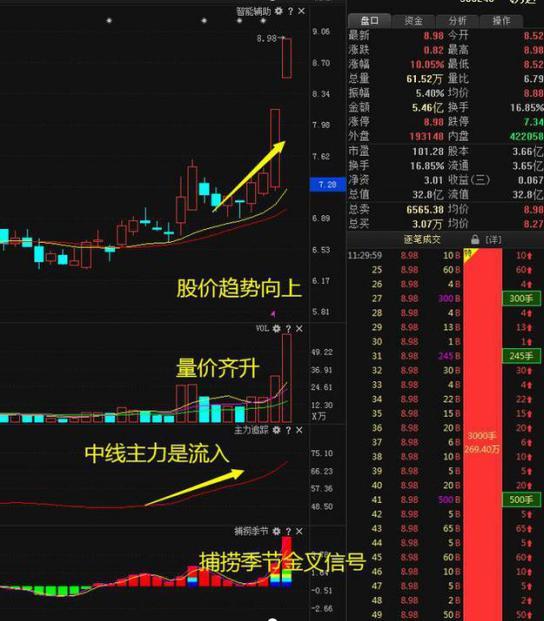 中国股市分红机制深度解析与探究