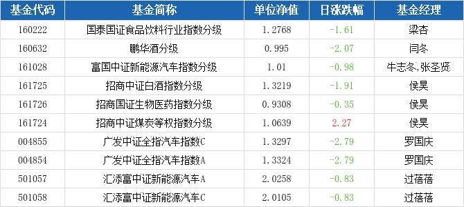 每日基金净值查询，理解、应用与策略指南