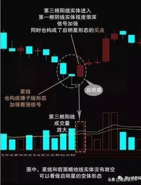 2025年1月30日 第8页