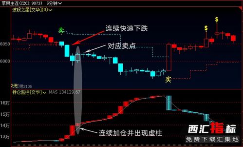 持仓指标的解读与理解指南