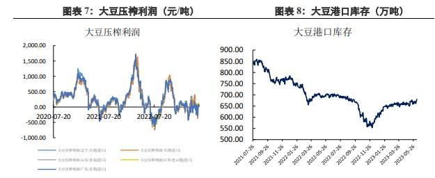 期货黄豆一号与二号品种差异及市场应用解析