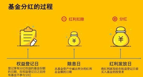 基金分红频率背后的机制与影响因素解析