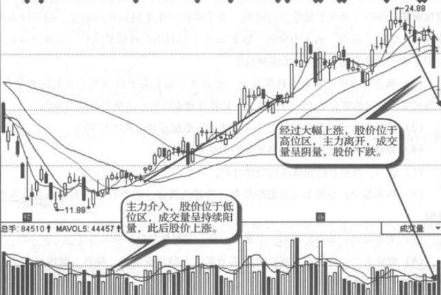 牛市第一波是否接近尾声？市场深度分析与展望