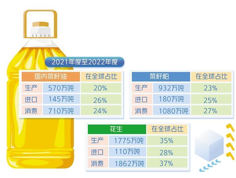 商品期货交易品种深度解析与实战策略指南