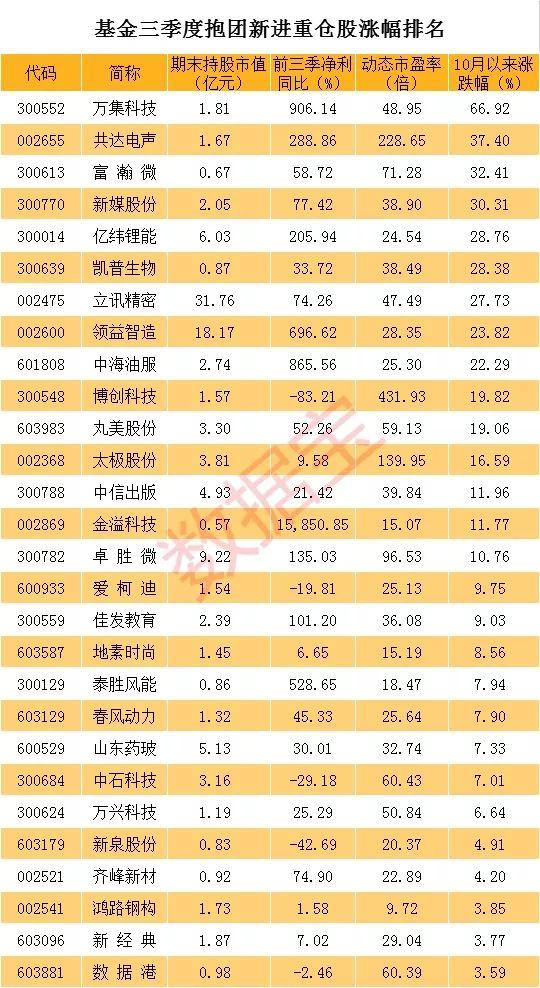 基金重仓股详解，意义、影响及投资策略探讨