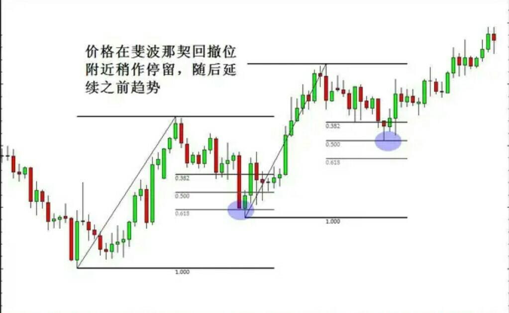 外汇交易中盈利点的解析详解