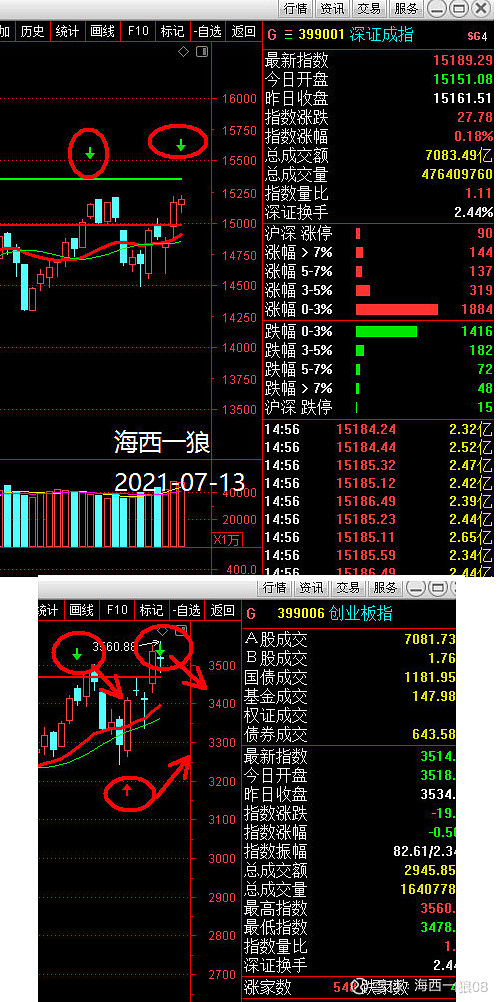 海西一狼今日股市深度解析