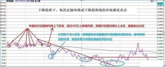 红毯走秀 第462页