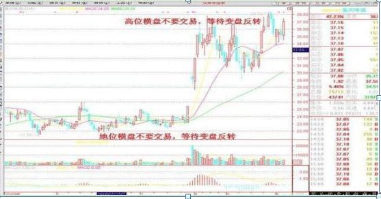 红毯走秀 第461页