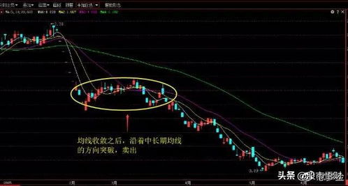 关于我们 第428页