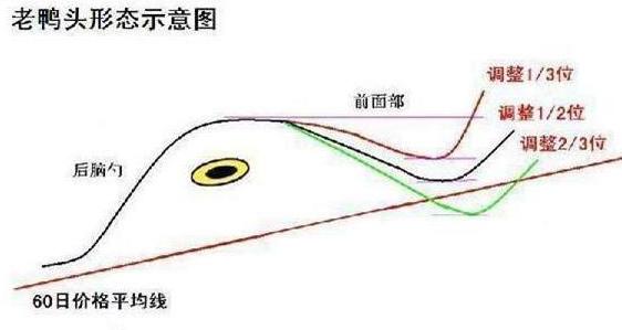 IDO嘉年华 第422页