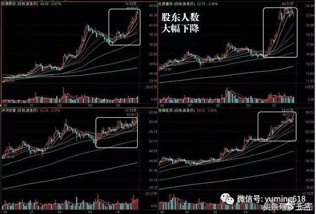 股票涨跌背后的经济信号与市场解读