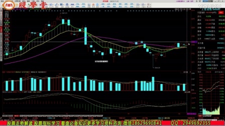 股票行情深度解析与走势分析