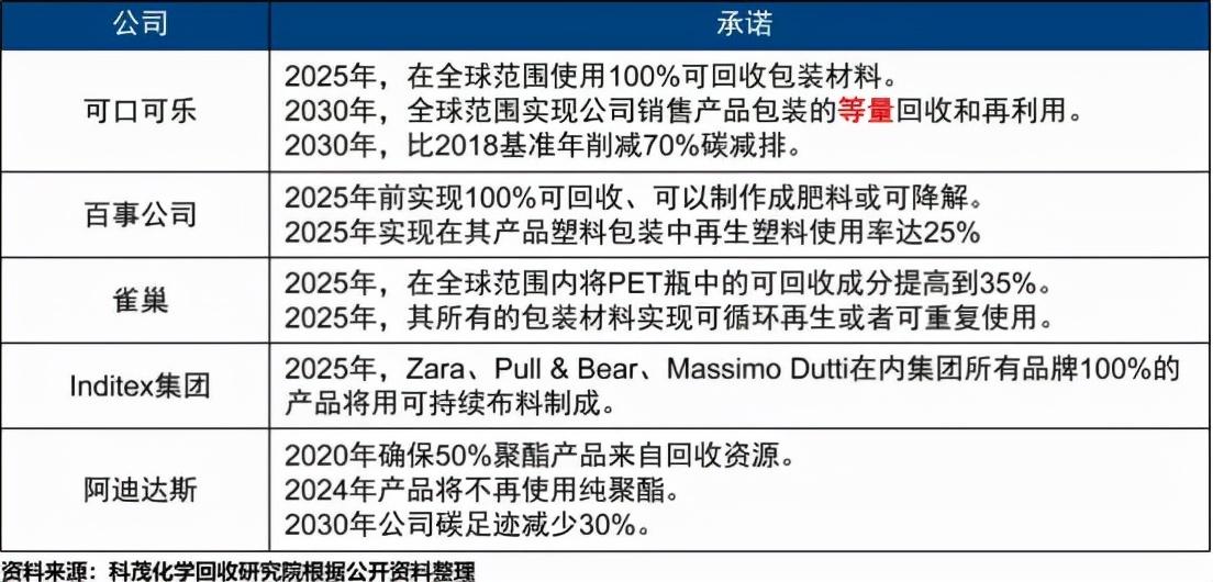 迈向数字化转型的关键，深度解析2024pp项目进展与挑战