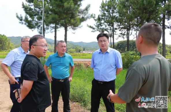 万年县县长被抓事件深度解析，数字化转型的挑战与应对策略及数据整合的重要性