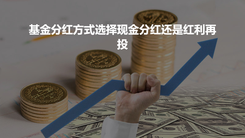 基金分红方式的全面解析，选择哪种分红方式更合适？