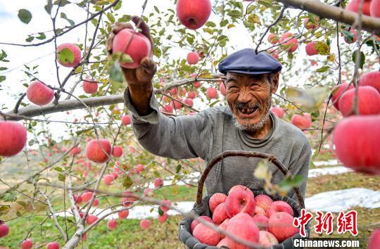 基于数据分析技术的深度探究，洗外汇能否实现千万收益？