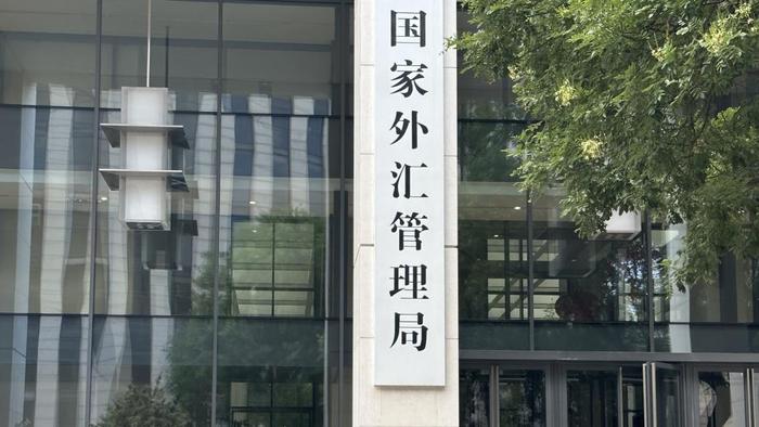 国家外汇局官网首页分析与数字化转型趋势探讨