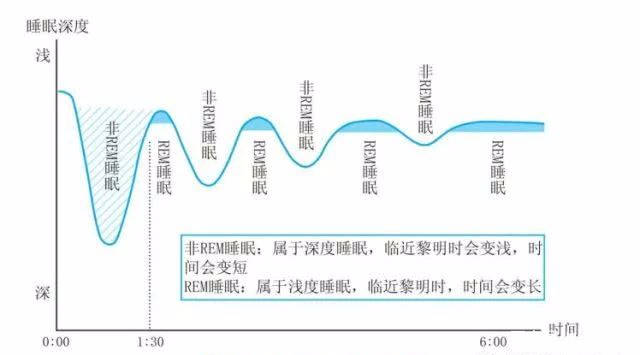 黄金五分钟交易法则深度解析，数据驱动的交易数字化转型之道