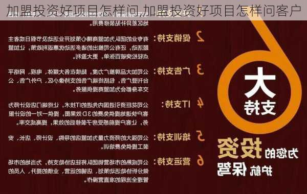 项目招商精准获客之道，数据分析与技术在数字化转型中的关键作用