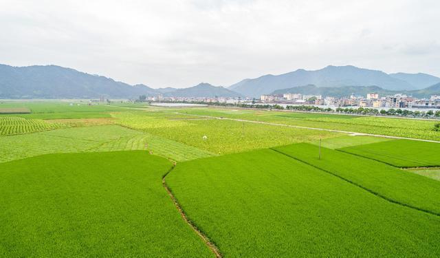 近几年土地与耕地状况深度解析