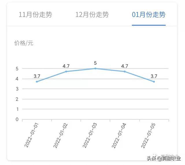 市场价格波动分析与数据整合技术的中心化应用探索