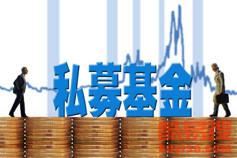 私募股权基金公司子公司数字化转型，数据整合与技术驱动的分析