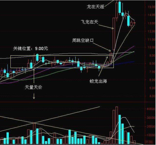 特朗普重申不抛售股票，数字化转型中的数据整合技术应对挑战解析