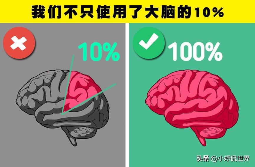 数字化转型中丰富科学文化知识的价值及应用解析