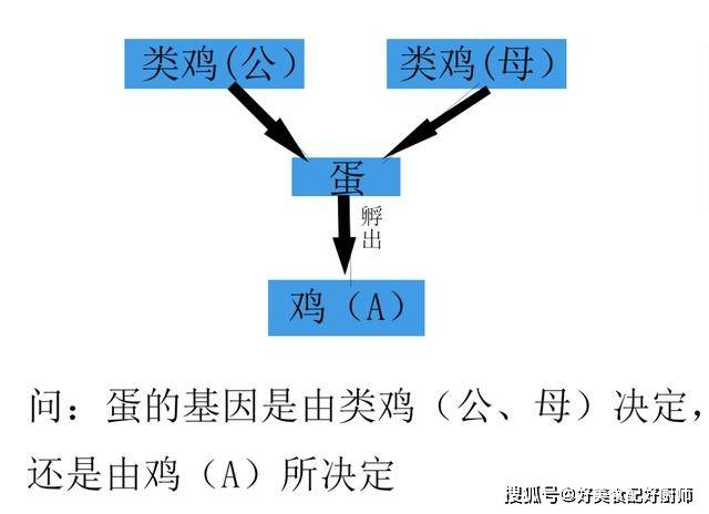 新澳门天天开奖结果,科学分析解释定义_动态版78.155