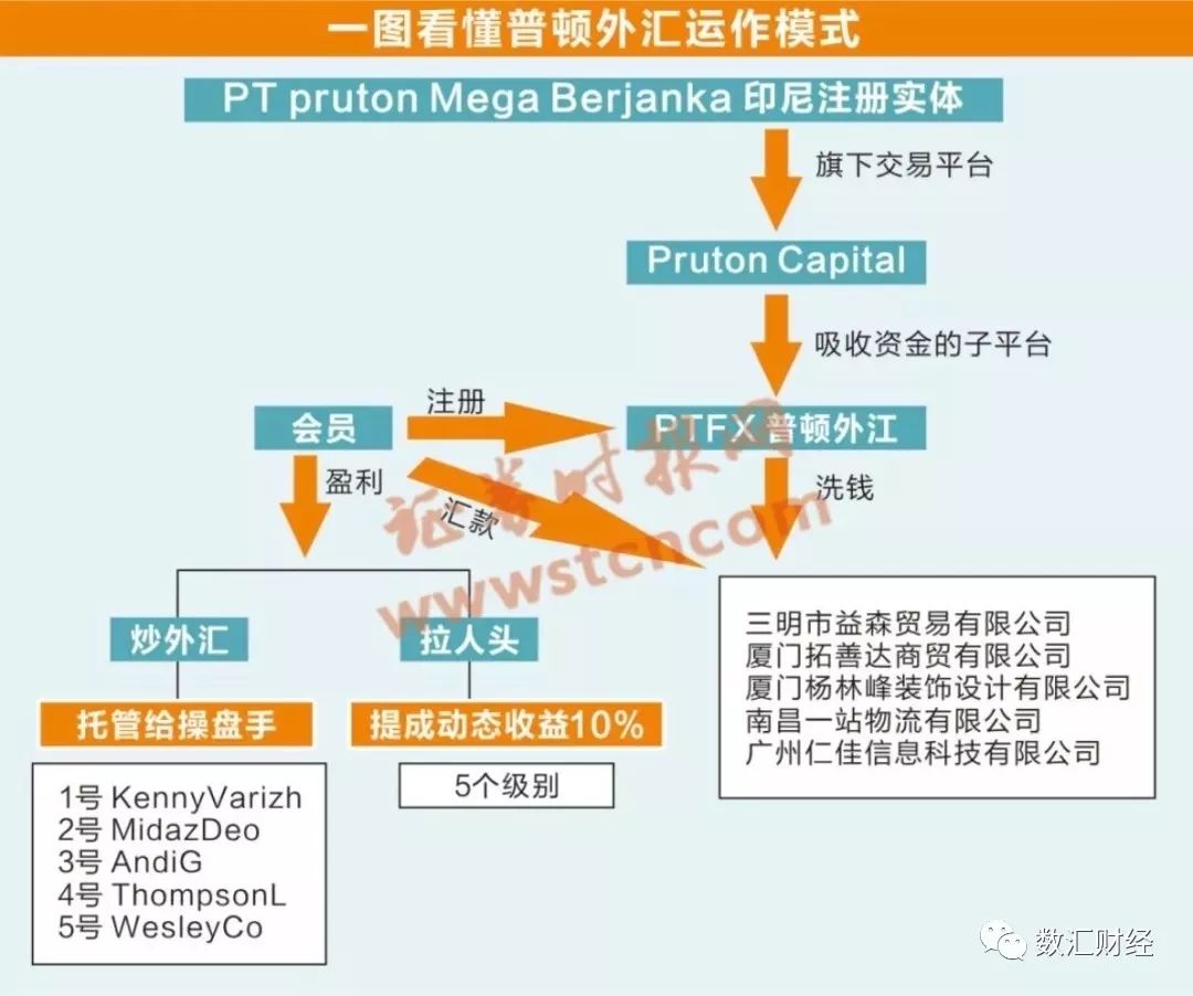 外汇交易收益深度解析，从一万美元到一月赚五百美元的投资故事