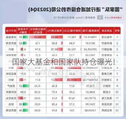 国家大基金持仓名单深度解析，数据驱动下的数字化转型之路