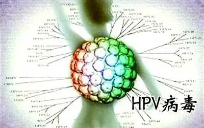 男子误诊感染HPV引发行业反思，数据分析在医疗行业的重要性及应对策略