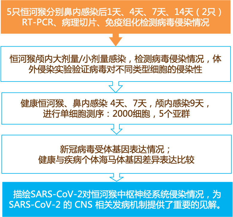 2024最新奥马资料传真,实效性解读策略_专业版43.857