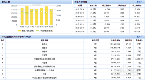 数字化转型中的公司财务报表查询与分析，核心洞察与策略指南