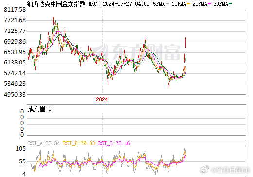 美股金龙鱼指数实时行情深度解析与未来展望