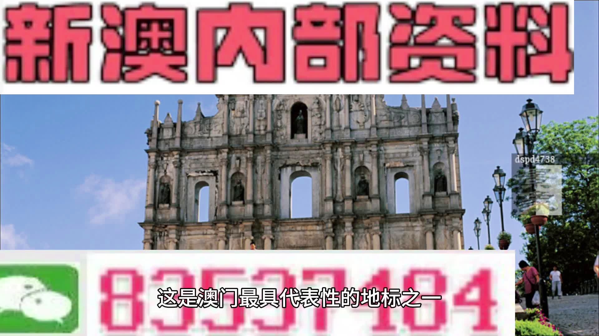 新澳门网红料怎么来的,持久性策略设计_NE版94.180