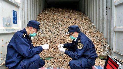 海关数字化转型，不再检疫供人类食用肉产品的趋势分析