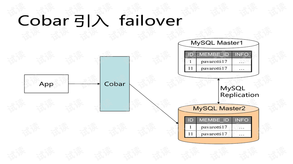 新澳门今晚必开一肖一特,数据导向设计解析_C版98.584