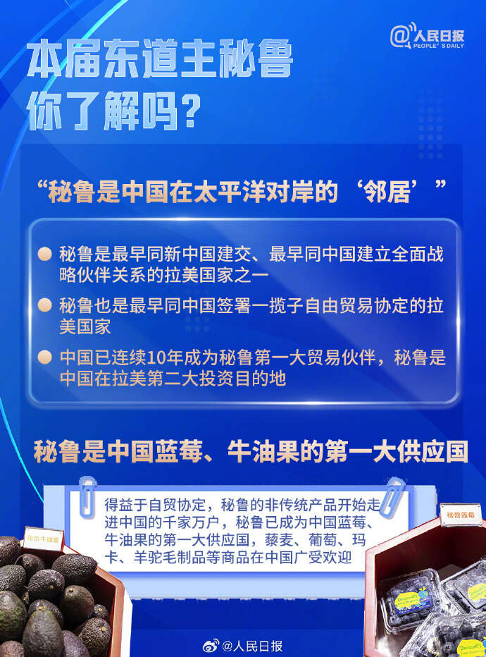 数据整合与数字化转型分析，聚焦APEC共享机遇，众行致远之路