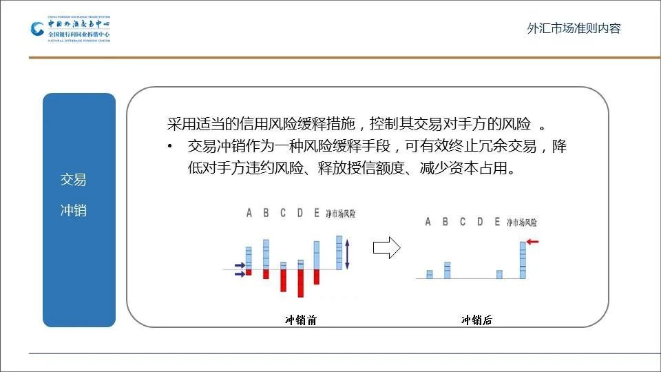 外汇市场风险评估与应对，数据整合技术的核心作用