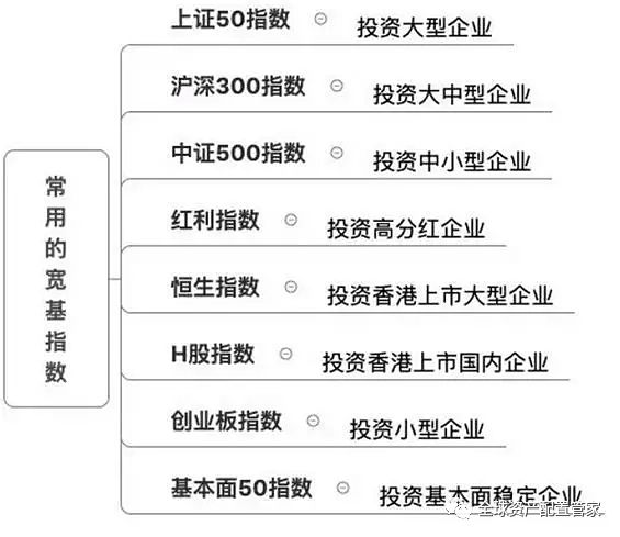 指数基金概览与数据整合分析