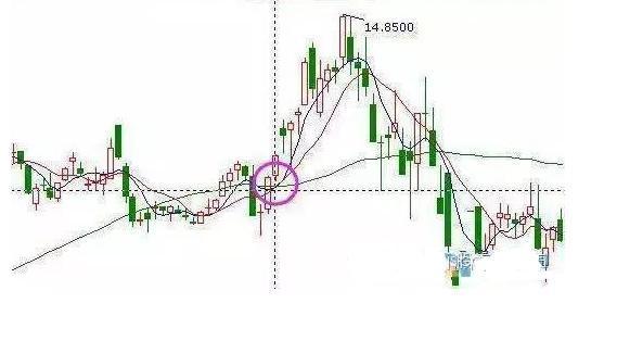 底部买入信号分析与数据驱动决策在数字化转型中的应用