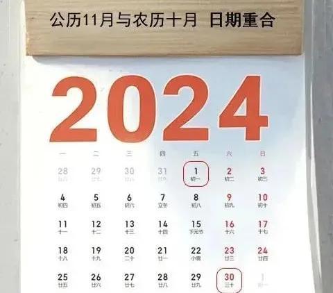 2024年下半年行业数字化转型的挑战与应对策略解析