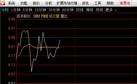 持仓指标CCL使用技巧深度解析