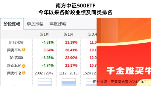 基金002593项目深度解析，数字化转型中的数据整合与技术驱动力